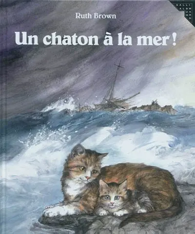 Un chaton à la mer !