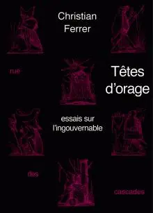 Têtes d'orage : essais sur l'ingouvernable