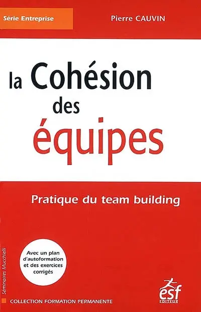 La cohésion des équipes : pratique du team building