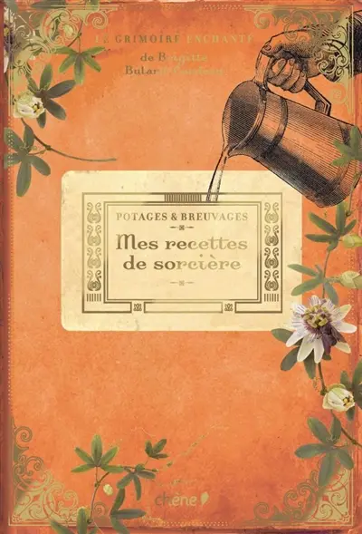 Le grimoire enchanté de Brigitte Bulard-Cordeau. Mes recettes de sorcière : potages et breuvages