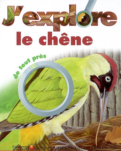 J'explore le chêne