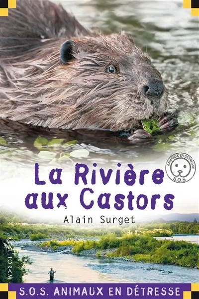 La rivière aux castors