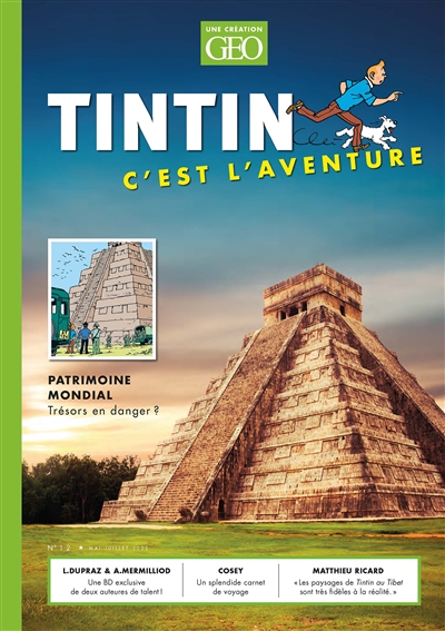 Tintin, c'est l'aventure, n° 12. Patrimoine mondial : trésors en danger ?