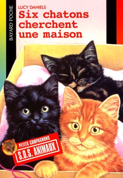 Six chatons cherchent une maison