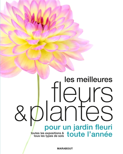Le grand guide Marabout des...