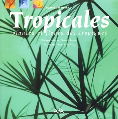 Tropicales : plantes et fleurs des tropiques