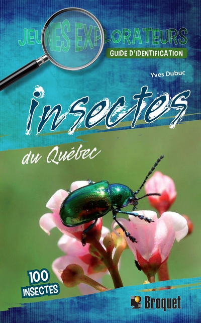 Insectes du Québec : guide d'identification