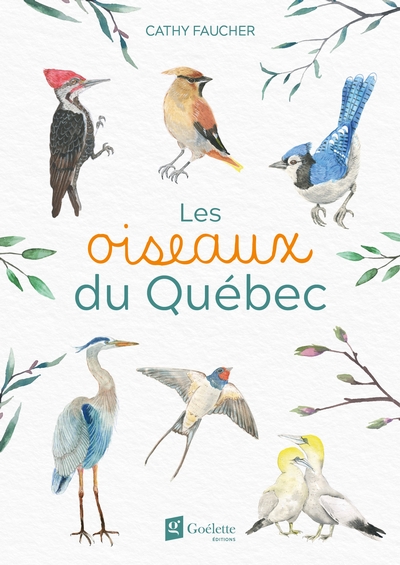 Les oiseaux du Québec