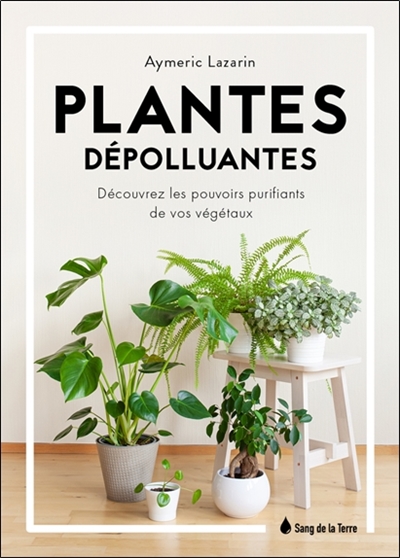 Plantes dépolluantes : découvrez les pouvoirs purifiants de vos végétaux