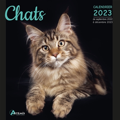 Chats : calendrier 2023 : de septembre 2022 à décembre 2023