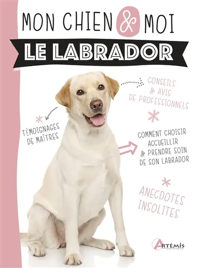 Le labrador