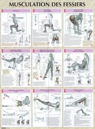 Musculation des fessiers