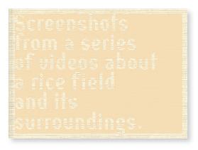 Screenshots from a séries of videos about a rice field and its surroundings