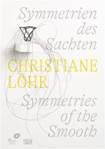 Christiane Löhr Symmetries of the Smooth