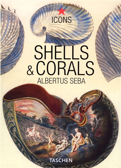 Shells & corals. Coquillages & coraux