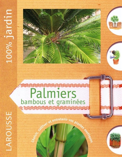 Palmiers, bambous et graminées : le guide indispensable pour choisir, cultiver et multiplier les palmiers, les bambous et les graminées