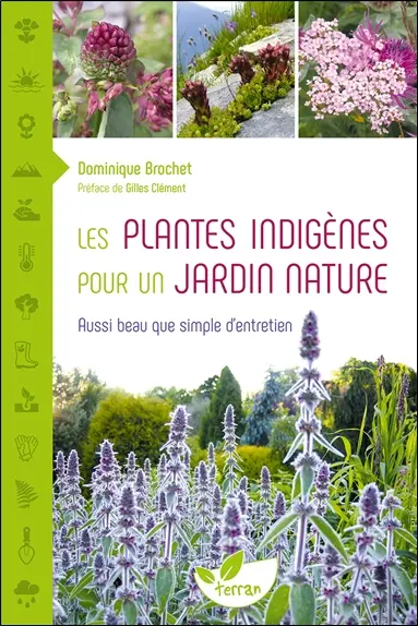 Les plantes indigènes pour un jardin nature : aussi beau que simple d'entretien