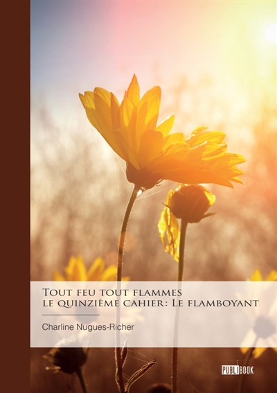 Tout feu tout flammes - le...