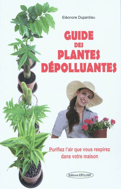 Guide des plantes dépolluantes : purifiez l'air que vous respirez dans votre maison