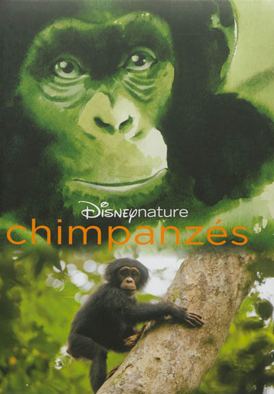 Chimpanzés