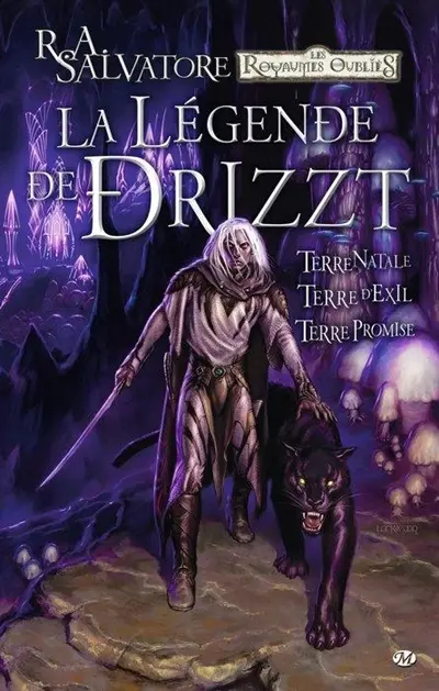La légende de Drizzt