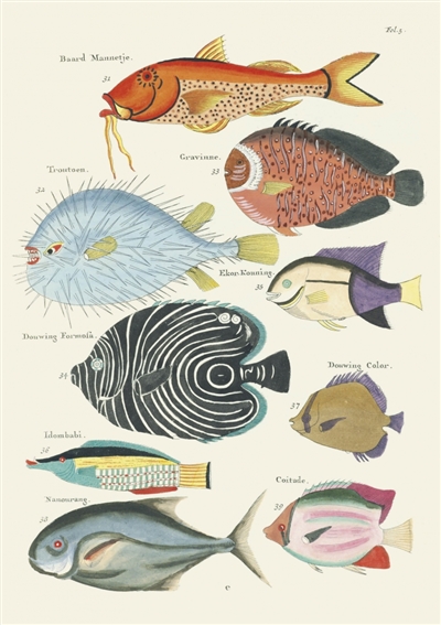Poissons, écrevisses et crabes : carnet