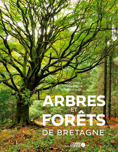 Arbres et forêts de Bretagne