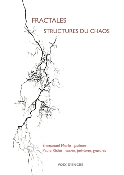 Fractales : structures du chaos