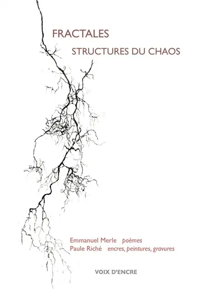 Fractales : structures du chaos