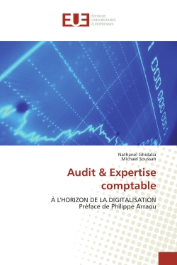 Audit & Expertise comptable : A L'HORIZON DE LA DIGITALISATION Préface de Philippe Arraou