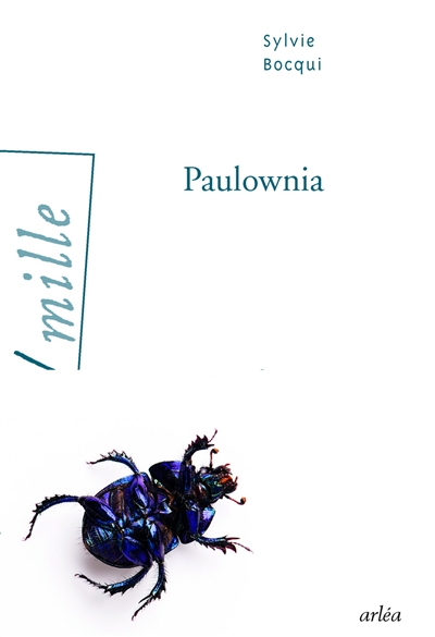 Paulownia