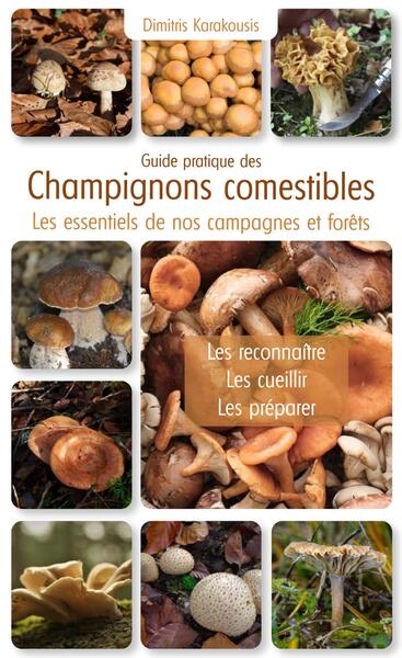 Guide pratique des champignons comestibles : les essentiels de nos campagnes et forêts
