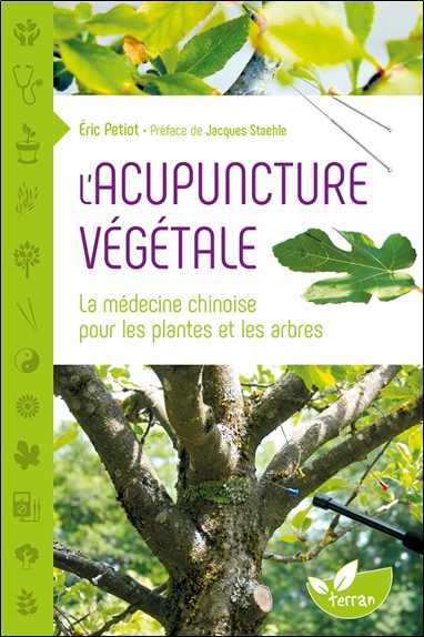 L'acupuncture végétale : la médecine chinoise pour les plantes et les arbres