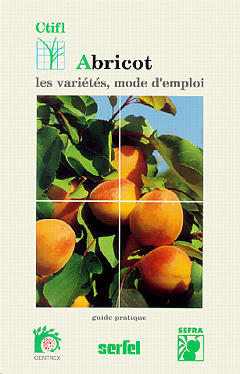 Abricot, les variétés, mode d'emploi
