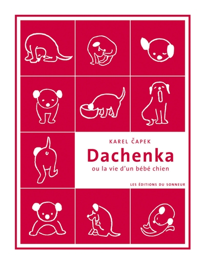 Dachenka ou La vie d'un bébé chien : écrit, dessiné, enduré par l'auteur à l'attention des enfants