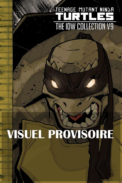 Teenage mutant ninja Turtles : les Tortues ninja : l'intégrale. Vol. 9
