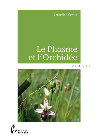 Le phasme et l'orchidée