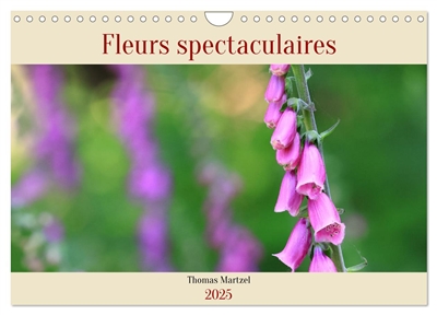Les spectaculaires fleurs du jardin et d'ailleurs (Calendrier mural 2025 DIN A4 vertical), CALVENDO calendrier mensuel : Voici le monde coloré et spectaculaire des fleurs.