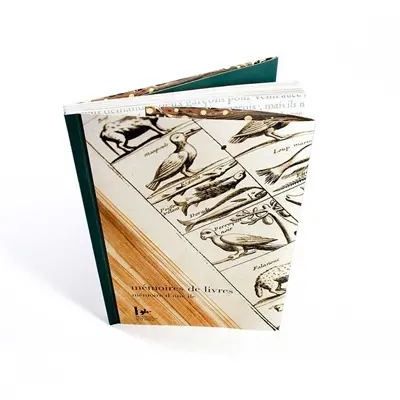 Mémoires de livres : mémoire d'une île