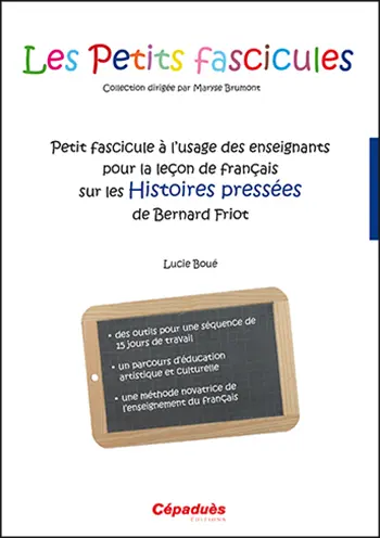 Petit fascicule à l'usage des enseignants pour la leçon de français sur Les histoires pressées de Bernard Friot