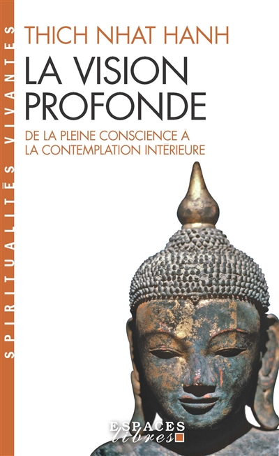 La vision profonde : de la pleine conscience à la contemplation intérieure