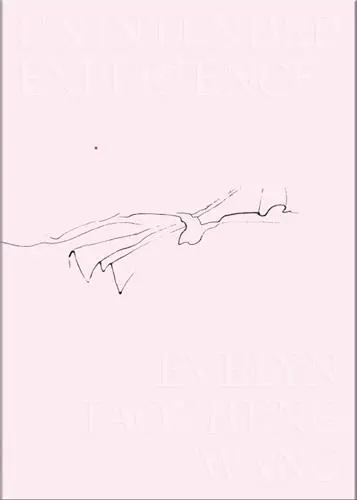 Evelyn Taocheng Wang Unintended Experience (A Job in Amsterdam)