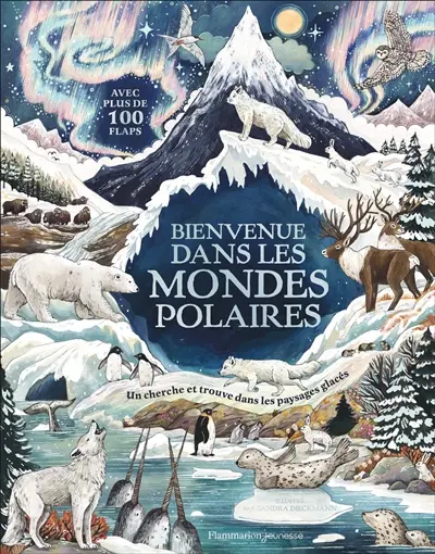 Bienvenue dans les mondes polaires : un cherche et trouve dans les paysages glacés