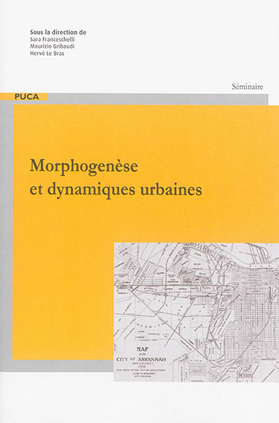 Morphogenèse et dynamiques urbaines : les ateliers de morphologie EHESS-EnsAD