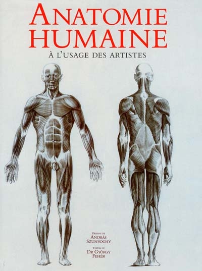 Anatomie humaine à l'usage des artistes