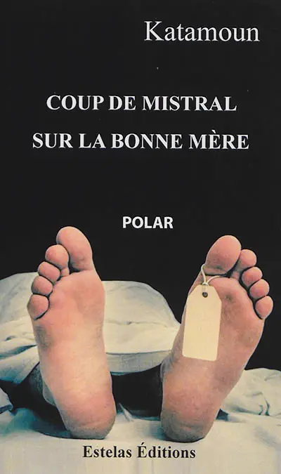 Coup de Mistral sur la Bonne Mère : polar marseillais