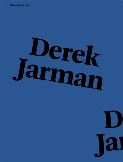 Pleased to meet you, n° 11. Derek Jarman