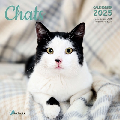 Chats : calendrier 2025 :...