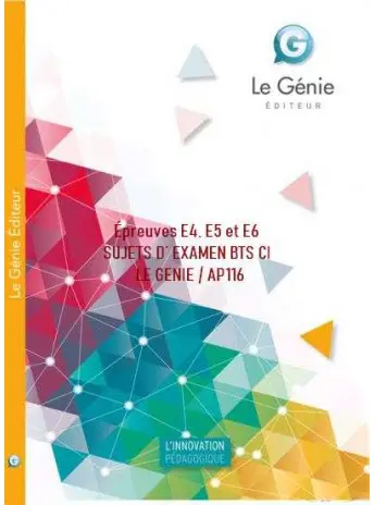 Epreuves E4, E5 et E6 : Sujets d'examens BTS CI
