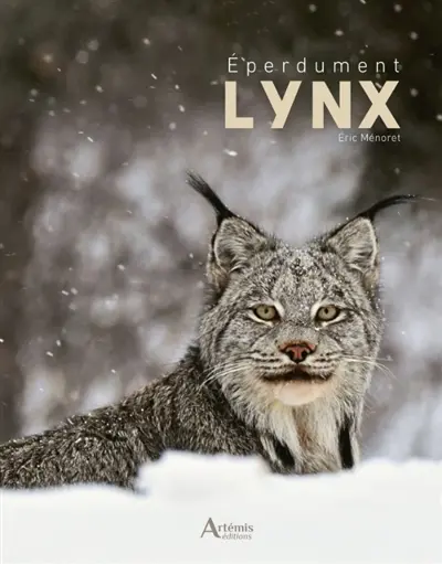 Eperdument lynx